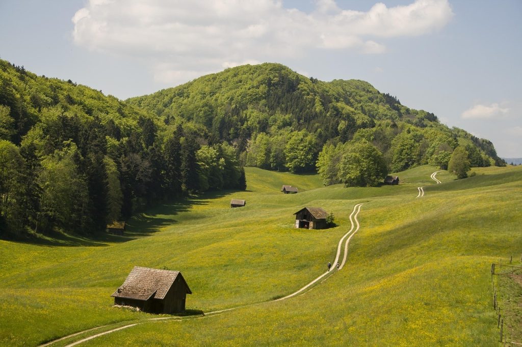 Ruhige Hügellandschaft in Basel-Land – naturverbundene Darstellung für einfühlsame Bestattungsdienste von Wicky und Partner.